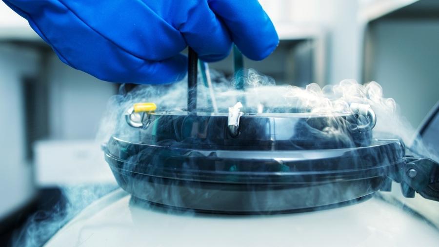 CONGELAMENTO DE OVULOS EM SÃO JOSE DO RIO PRETO